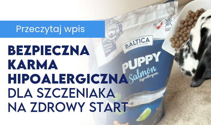 Bezpieczna karma hipoalergiczna dla szczeniaka na zdrowy start